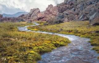 La métaphore de la rivière, la base du modèle japonais Kawa, utilisé en ergothérapie